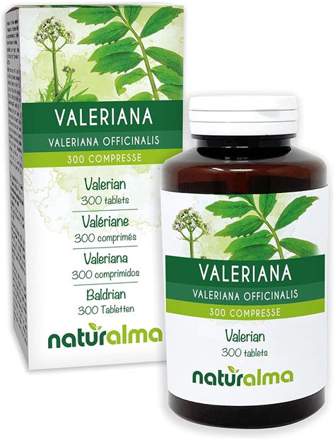 valerian bula.